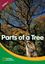 Imagem de WORLD WINDOWS LEVEL 1 SCIENCE - PARTS OF A TREE - STUDENT BOOK