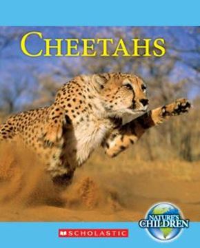 Imagem de CHEETAHS
