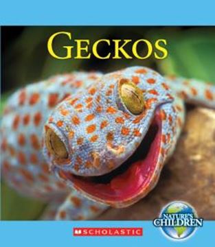 Imagem de GECKOS
