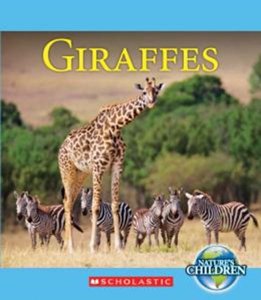 Picture of GIRAFFES
