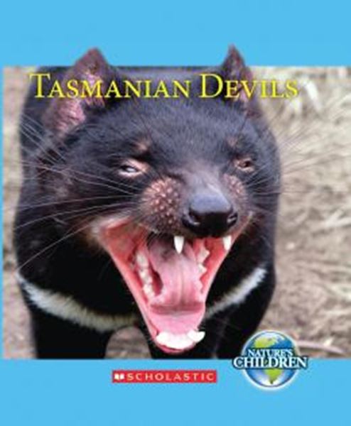 Picture of TASMANIAN DEVILS