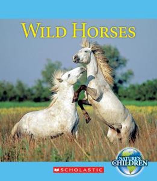Picture of WILD HORSES